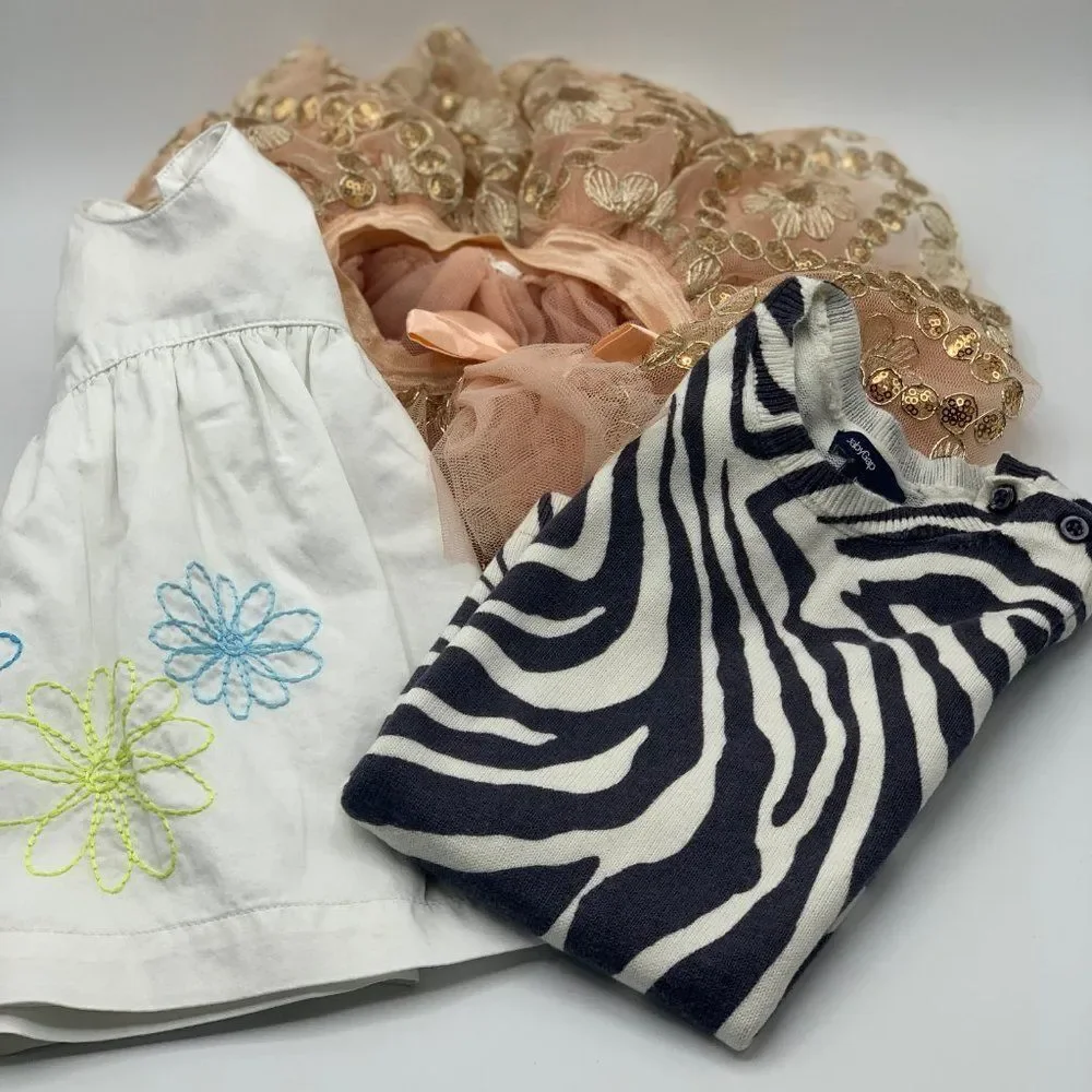 Baby Girl Assorted Clothes Bundle 3 months